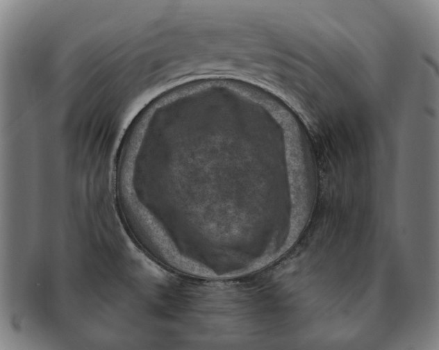 X0000091001527200708241437