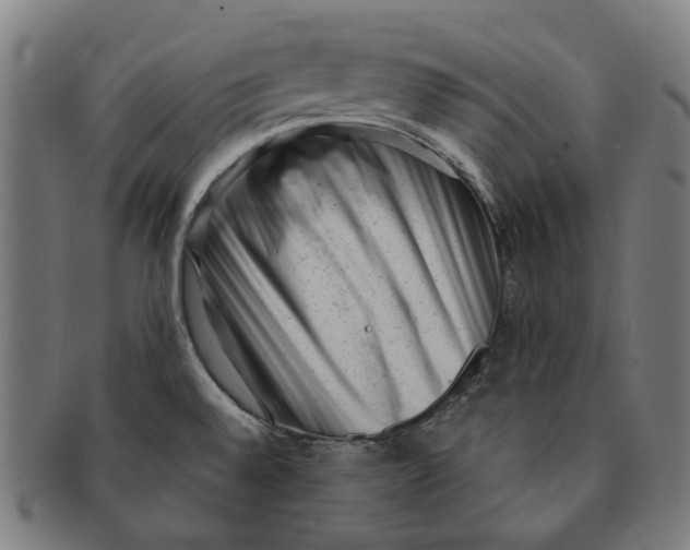 X0000091001528200708241437