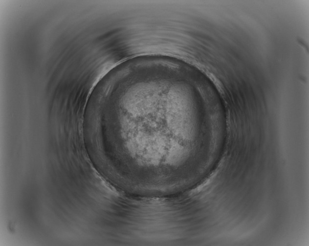 X0000091001529200708241437