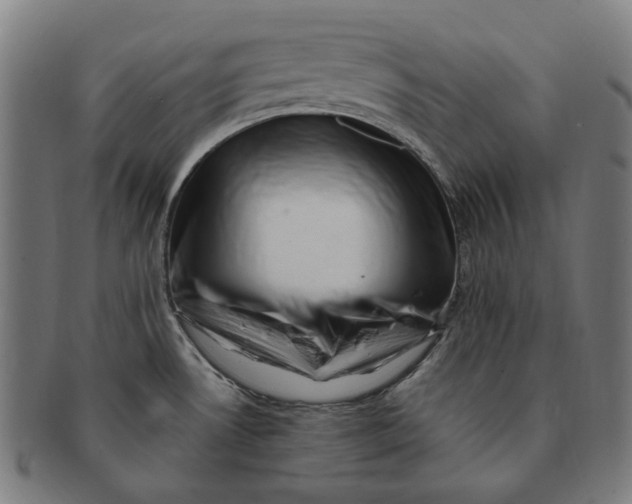 X0000091001530200708241437
