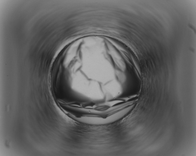 X0000091001531200708241437