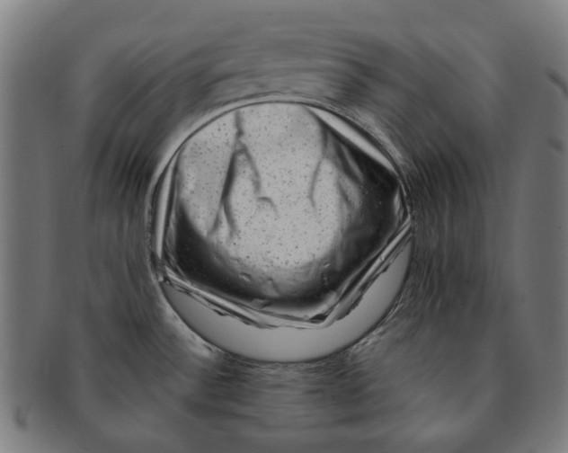 X0000091001532200708241437