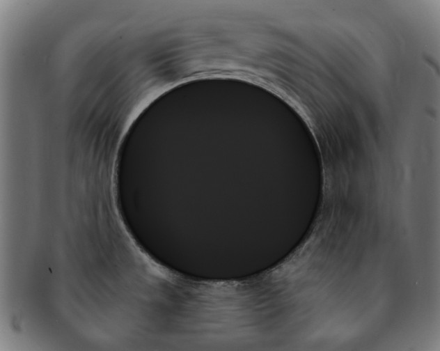 X0000091001533200708241437