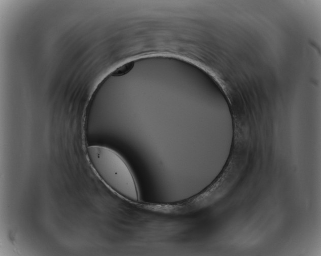 X0000091001534200708241437