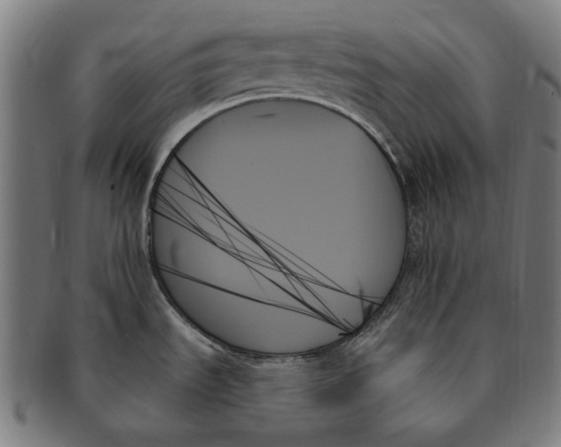 X0000091001535200708241437