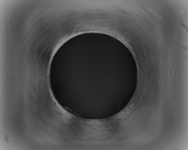 X0000091001536200708241437