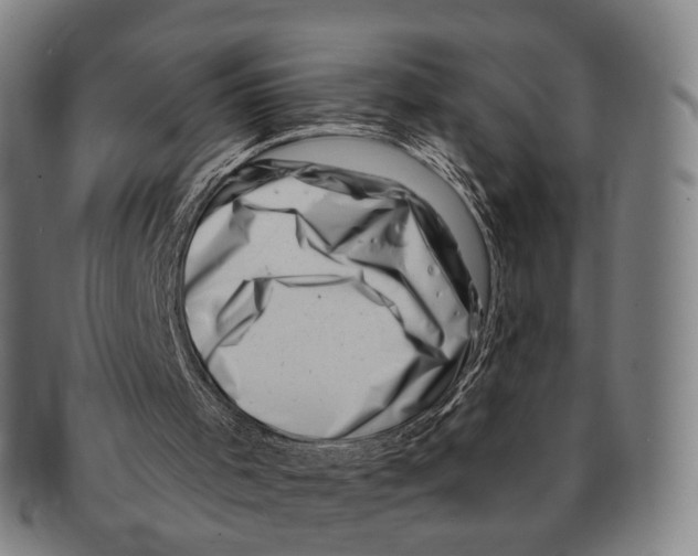 X0000091000001200708301345