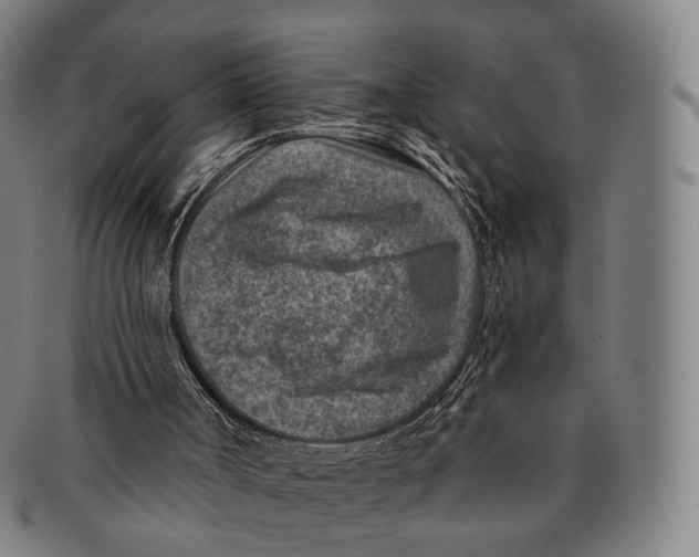 X0000091000002200708301345