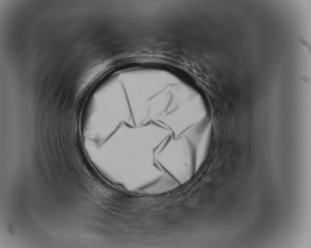X0000091000005200708301345