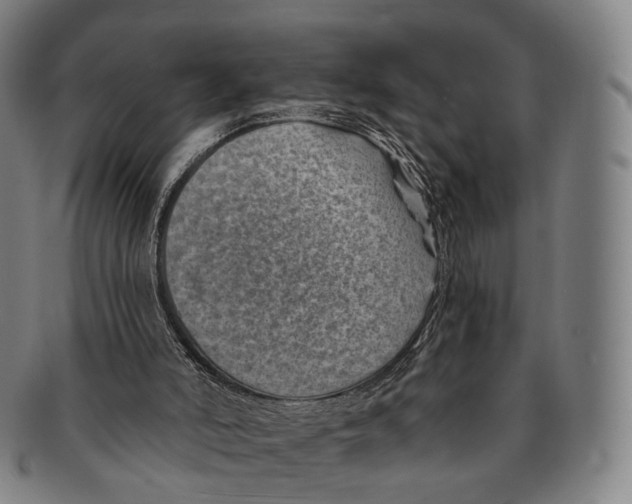 X0000091000006200708301344