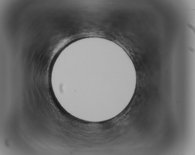 X0000091000008200708301344