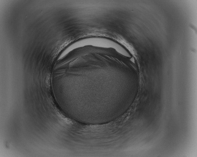 X0000091000009200708301344