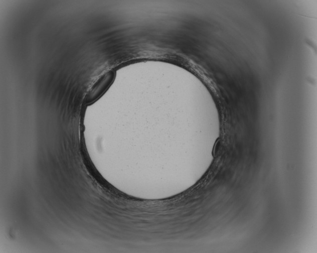 X0000091000011200708301344