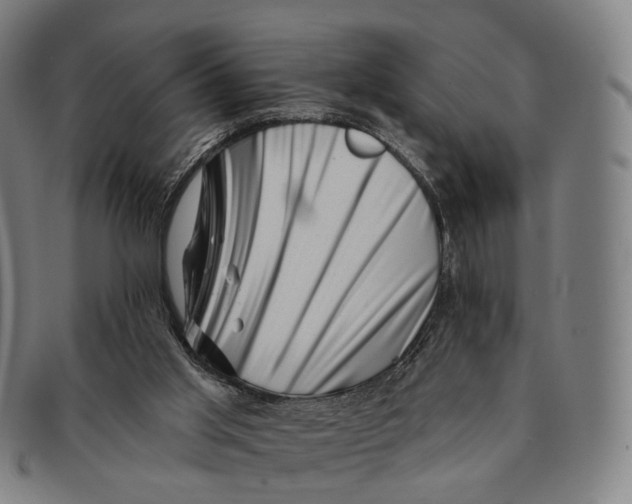 X0000091000013200708301344