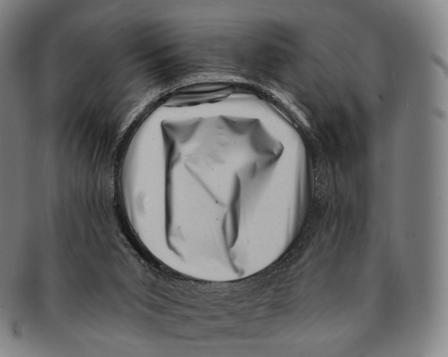 X0000091000015200708301344