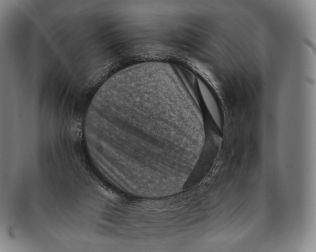 X0000091000017200708301344