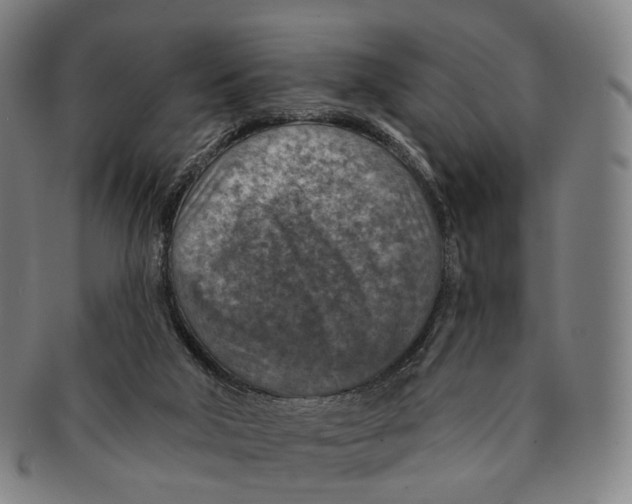 X0000091000018200708301344