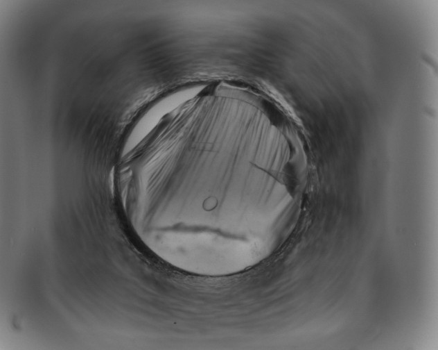 X0000091000019200708301344
