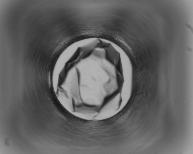 X0000091000020200708301344