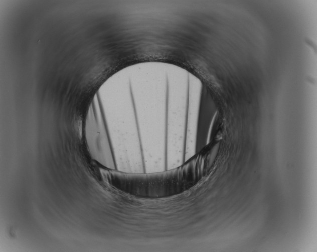 X0000091000021200708301344