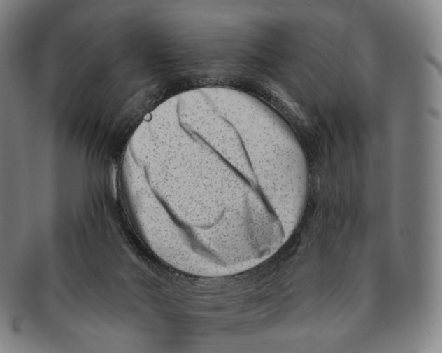 X0000091000022200708301344