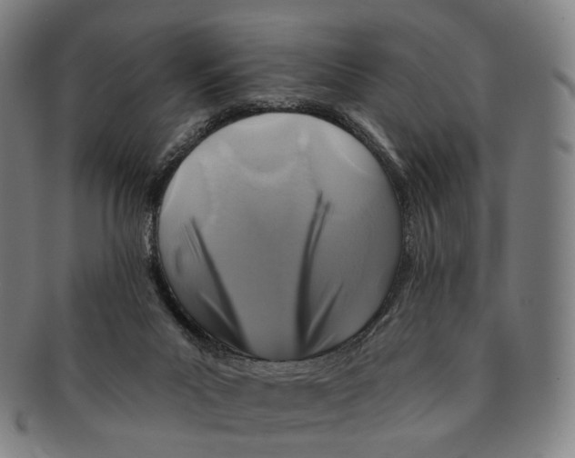 X0000091000023200708301344
