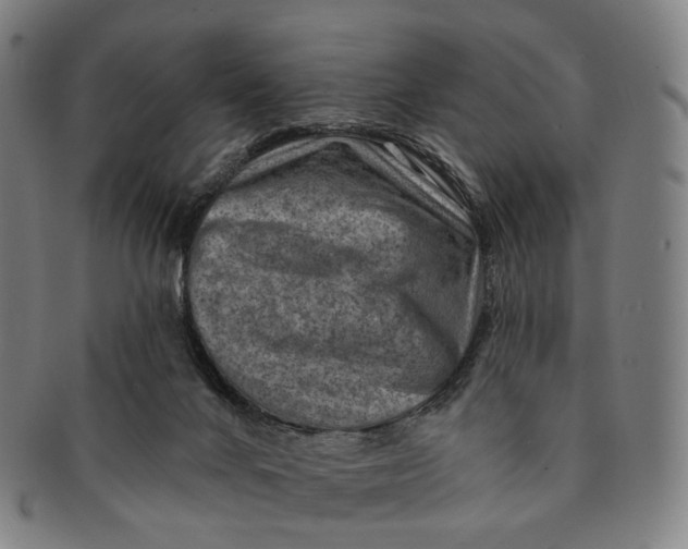 X0000091000024200708301344