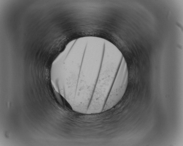 X0000091000025200708301344