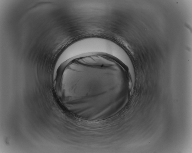 X0000091000027200708301344