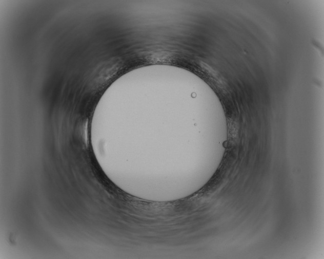 X0000091000028200708301344