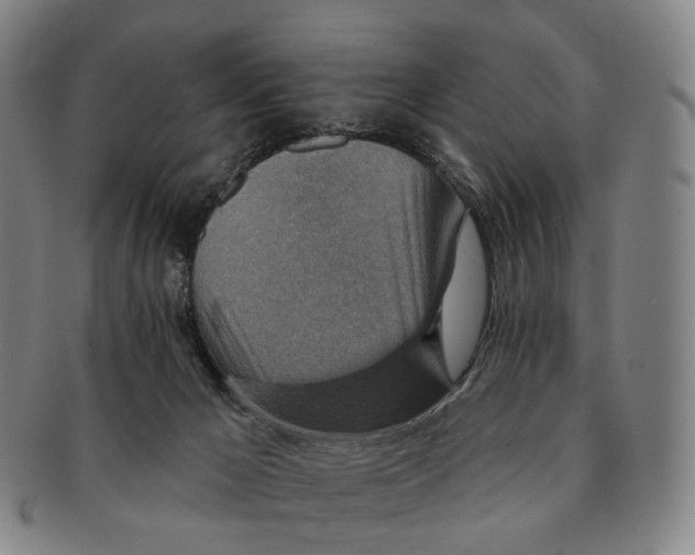 X0000091000029200708301344