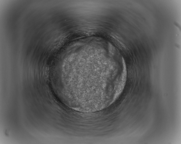 X0000091000030200708301344