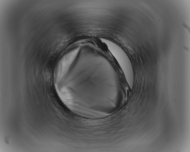 X0000091000031200708301344