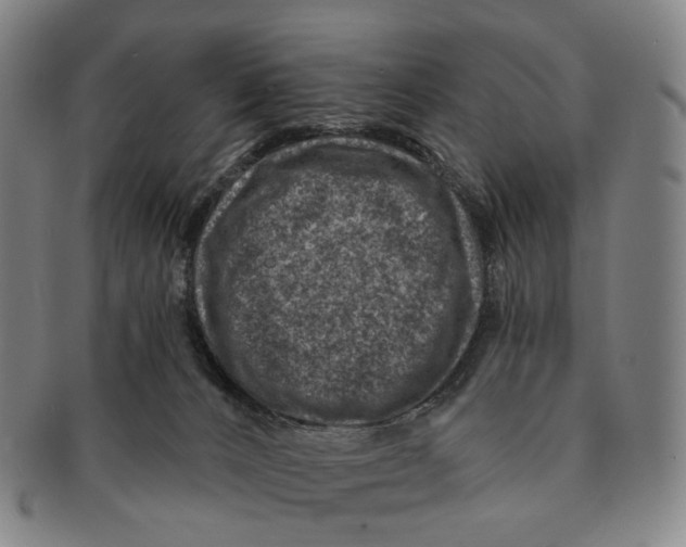 X0000091000032200708301344