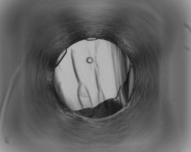 X0000091000033200708301344