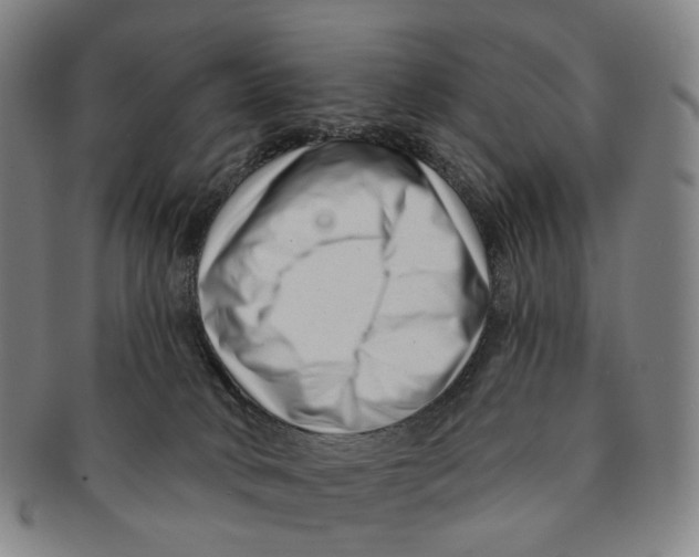 X0000091000034200708301344