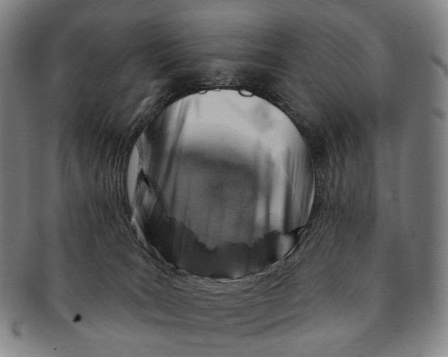 X0000091000035200708301344
