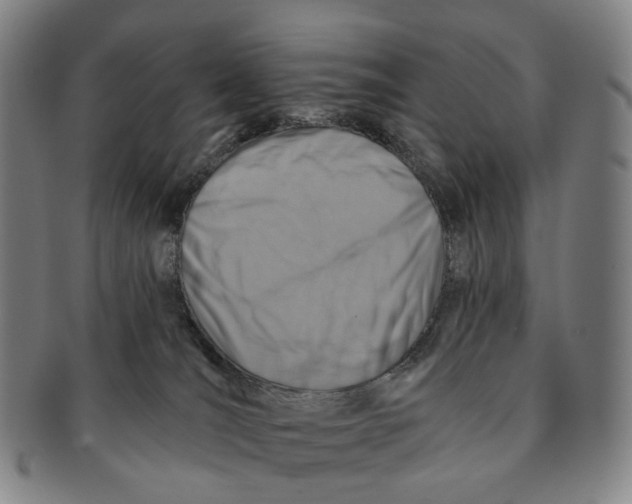 X0000091000036200708301344