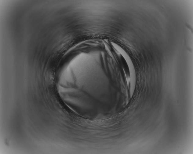 X0000091000039200708301344