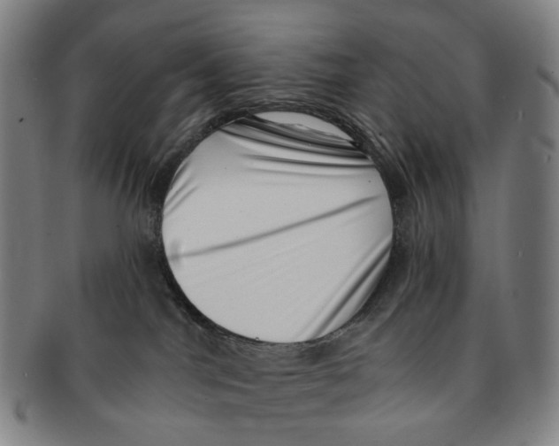 X0000091000044200708301344