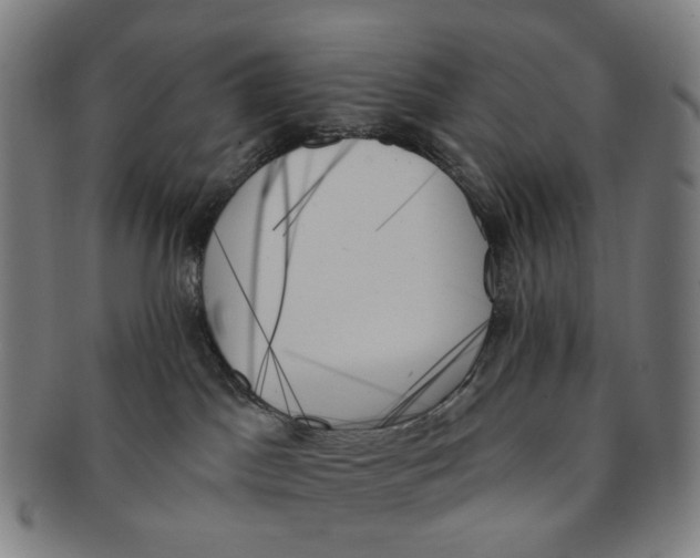X0000091000045200708301344