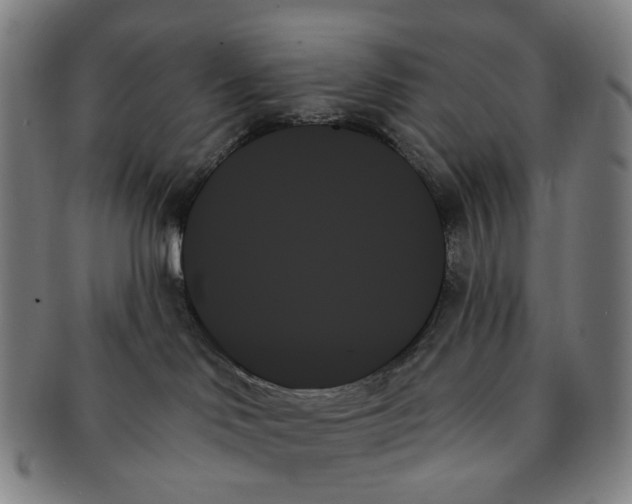 X0000091000046200708301344