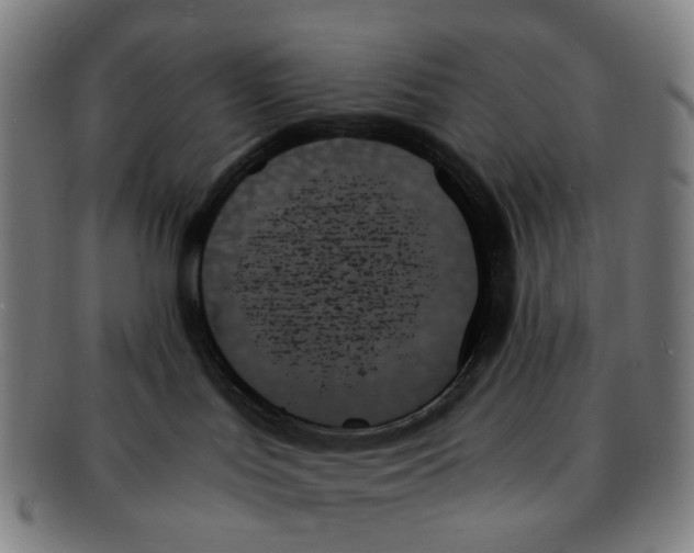X0000091000047200708301344