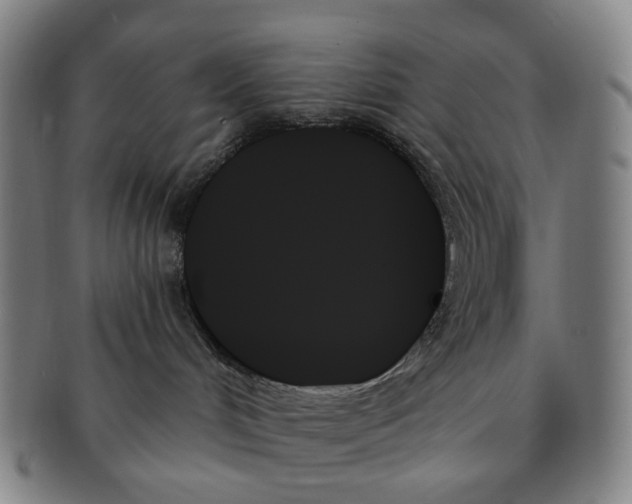 X0000091000048200708301344
