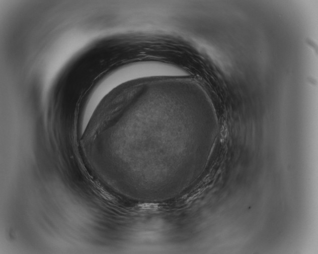 X0000091000052200708301343