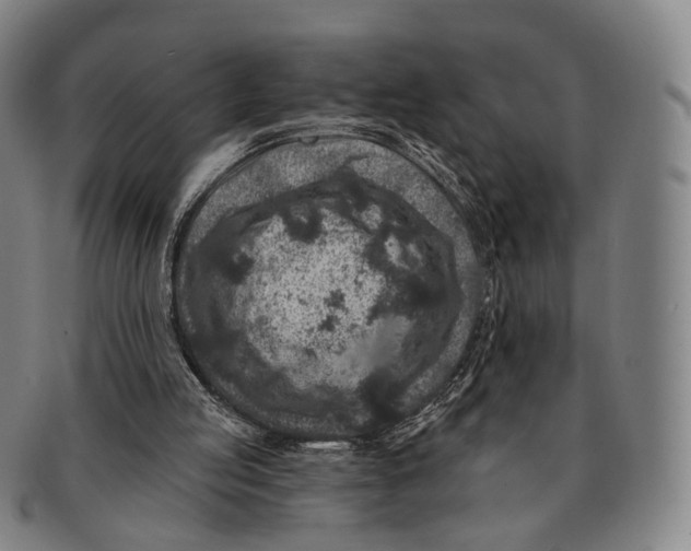 X0000091000053200708301343