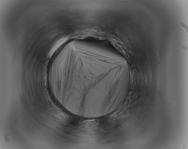 X0000091000054200708301343