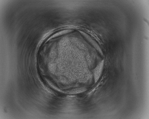 X0000091000055200708301343