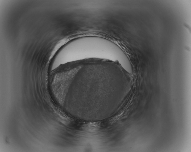 X0000091000056200708301343