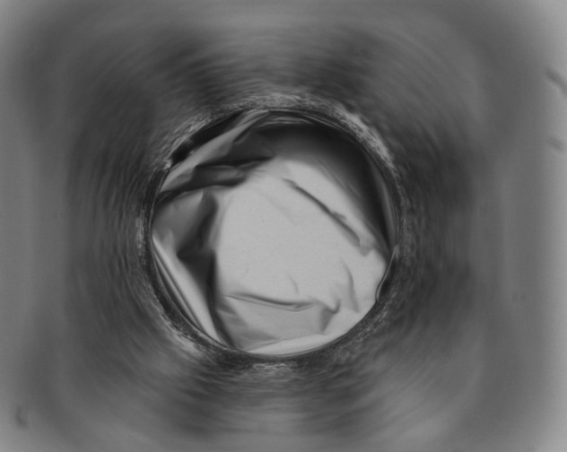 X0000091000057200708301343
